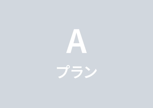 Aプラン