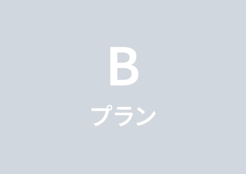 Bプラン