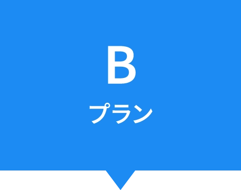 Bプラン