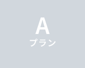 Aプラン