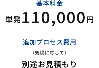 基本料金 単発110,000円 追加プロセス費用（規模に応じて） 別途お見積もり