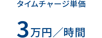 タイムチャージ単価 3万円／時間